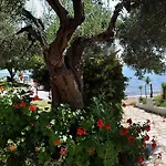 Alexiadis Agia Paraskevi (Kassandra)