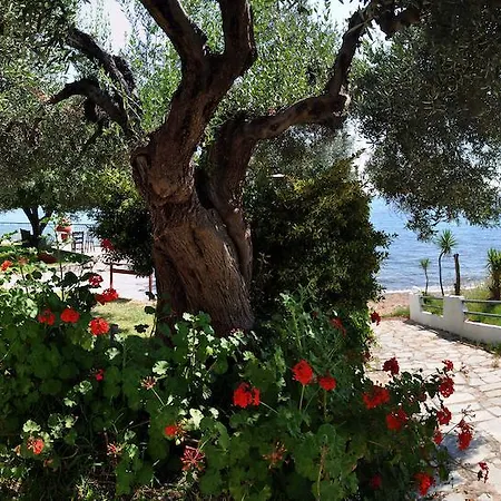 Alexiadis Agia Paraskevi (Kassandra)