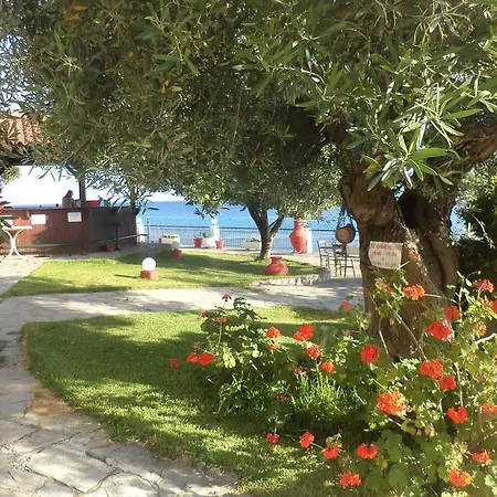Alexiadis Agia Paraskevi (Kassandra)