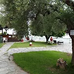 Alexiadis *
